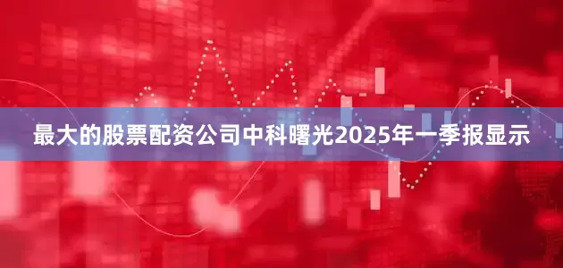 最大的股票配资公司中科曙光2025年一季报显示