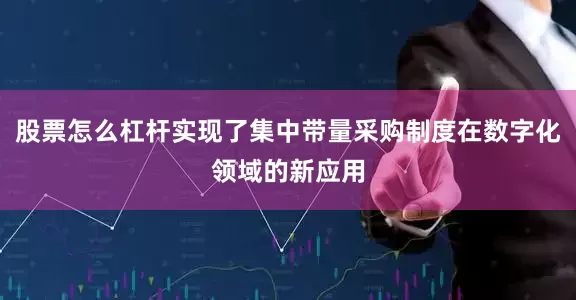 股票怎么杠杆实现了集中带量采购制度在数字化领域的新应用